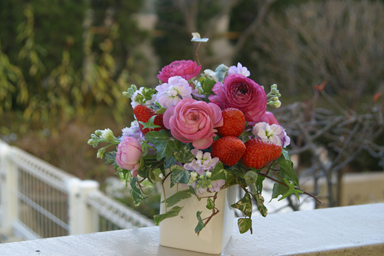 زندگی ادامه دارد